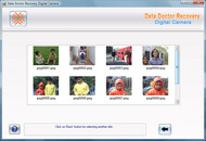 Digital SLR Camera Recovery Software screenshot